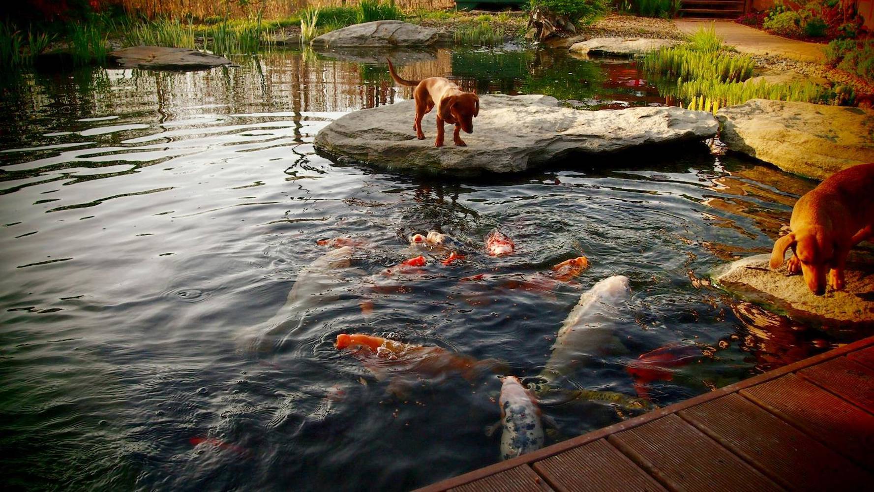 31968042 10155704167842809 3155117541538398208 O