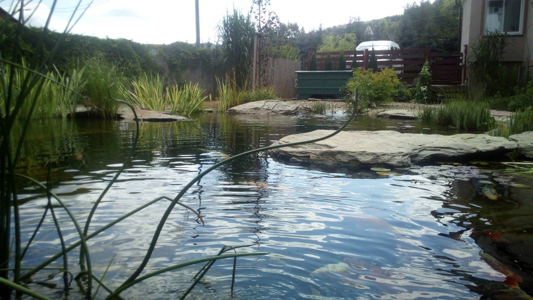 947CE8EB 9479 4EC8 9F05 2B81815D8F82