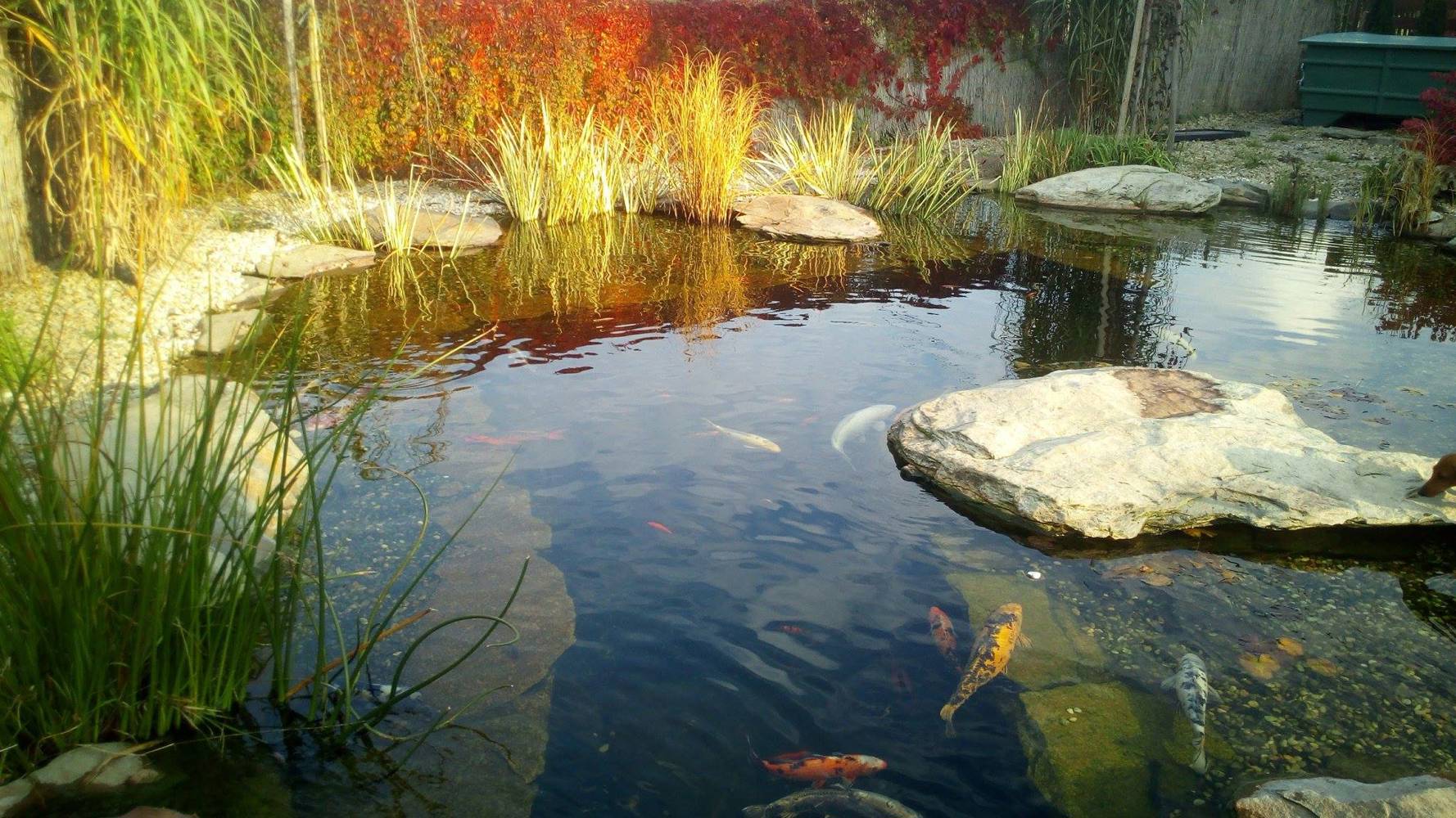 D7B37EFB D505 4851 8582 6F1B3672B9F4