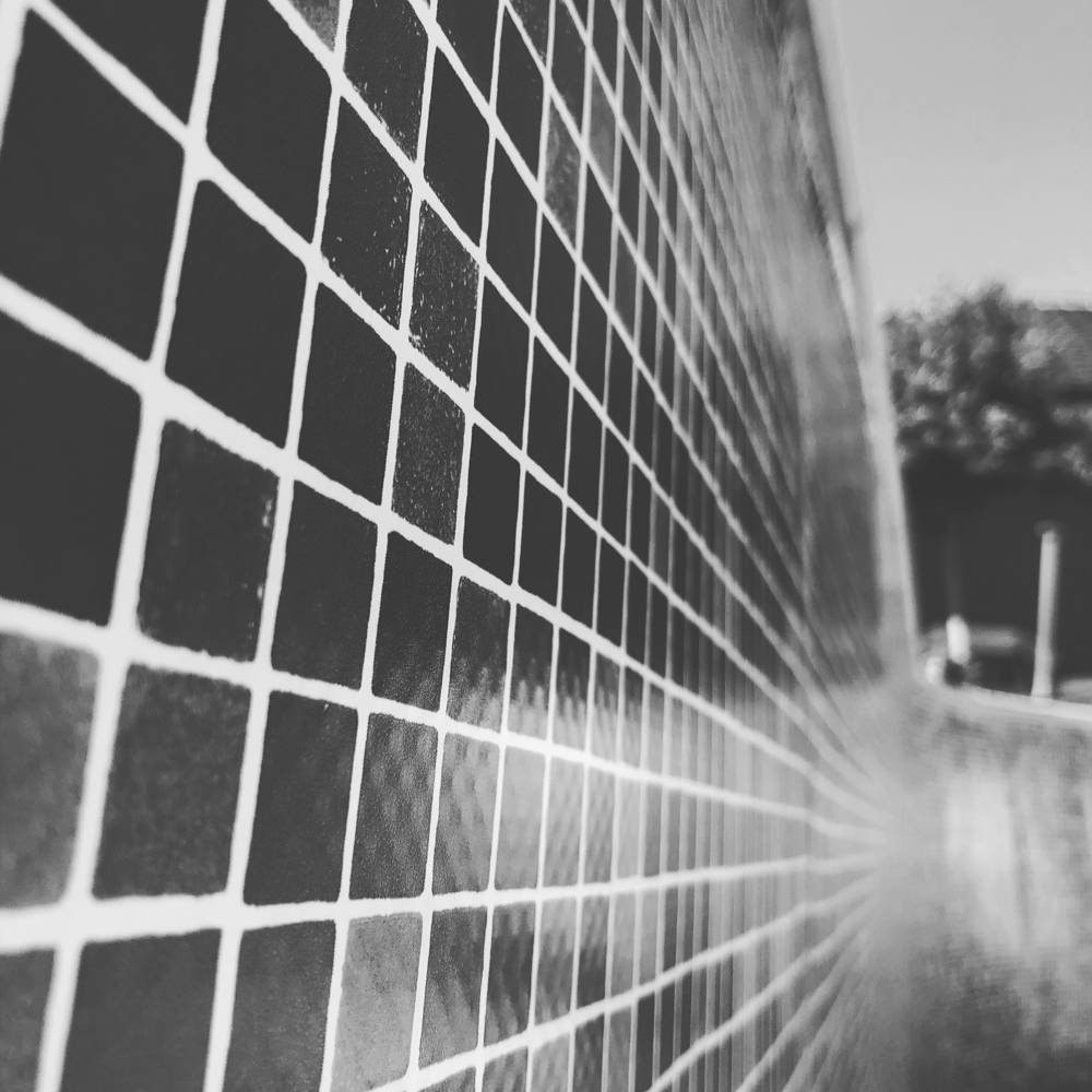 93F77A82 CF0F 4FCC AD00 D70E314F6B02 Scaled 2